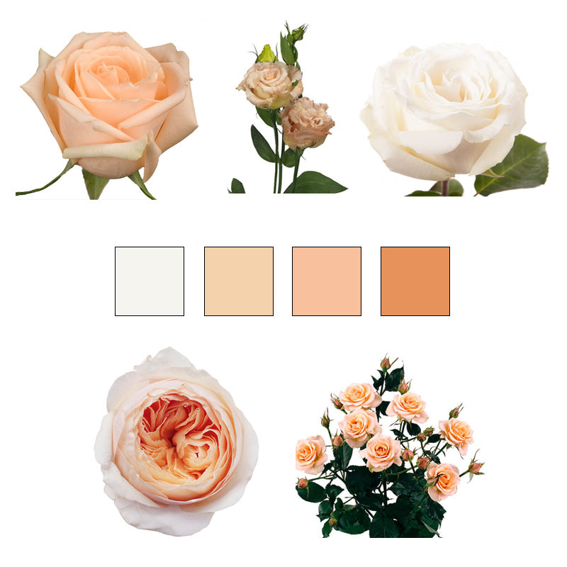 Spray Rose - Ivory – Kukka Flowers